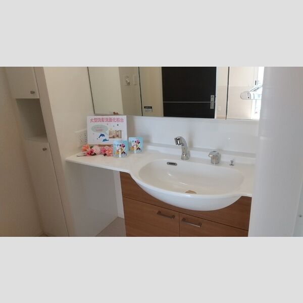 洗面所 (洗髪洗面化粧台)