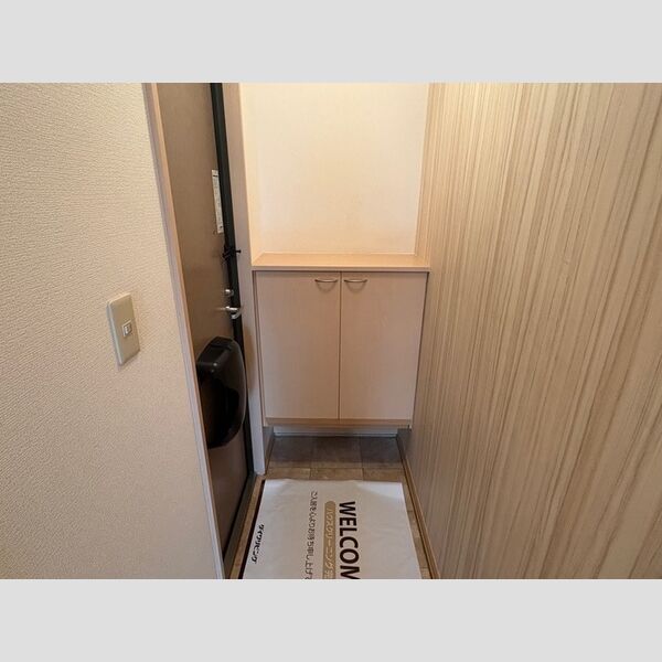 玄関 (シューズボックス)