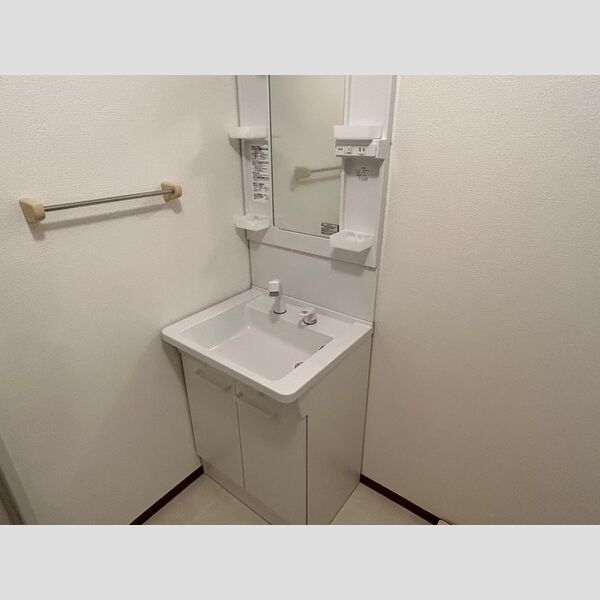 洗面所 (洗髪洗面化粧台)