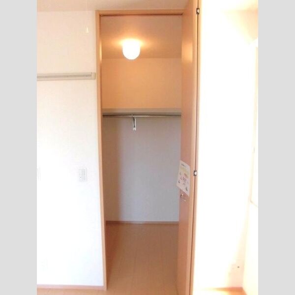 収納 (洋室4.2帖ウォークインクローゼット)