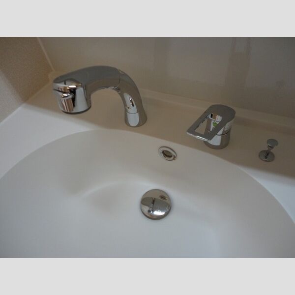 洗面所 (洗髪洗面化粧台)