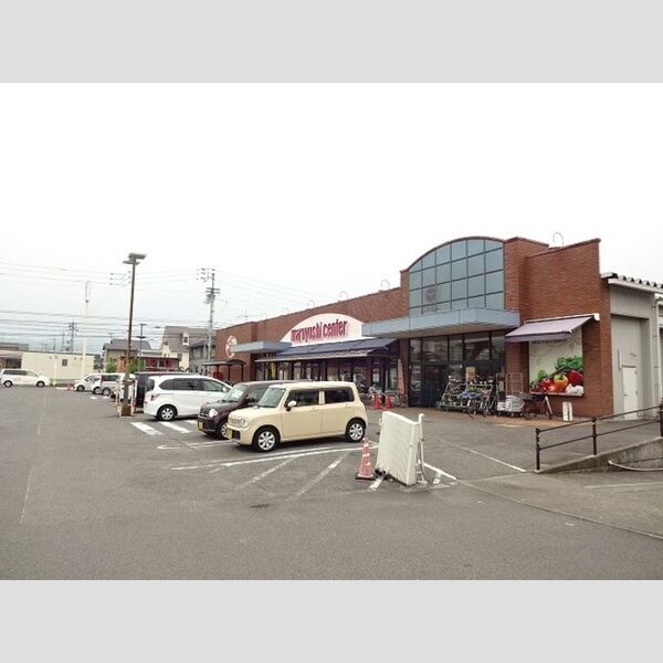 現地周辺 (マルヨシセンター椿店(700m))