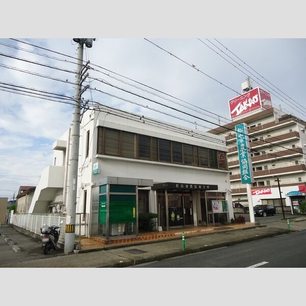 現地周辺 (JA松山市椿支所)