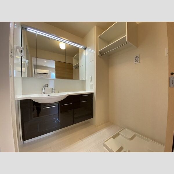 洗面所 (洗髪洗面化粧台)