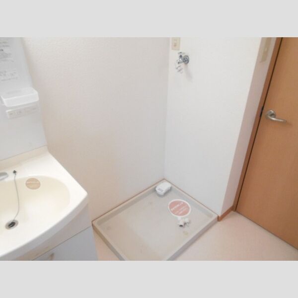 その他 (室内洗濯機置場)
