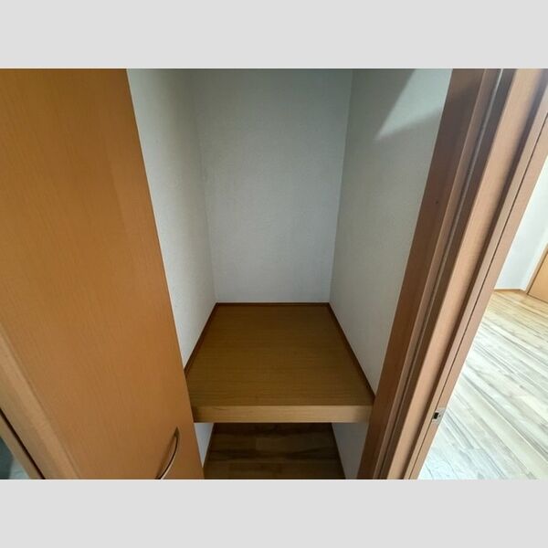 収納 (廊下物入)