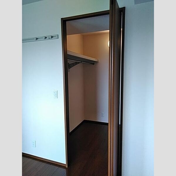 収納 (ウォークインクローゼット)