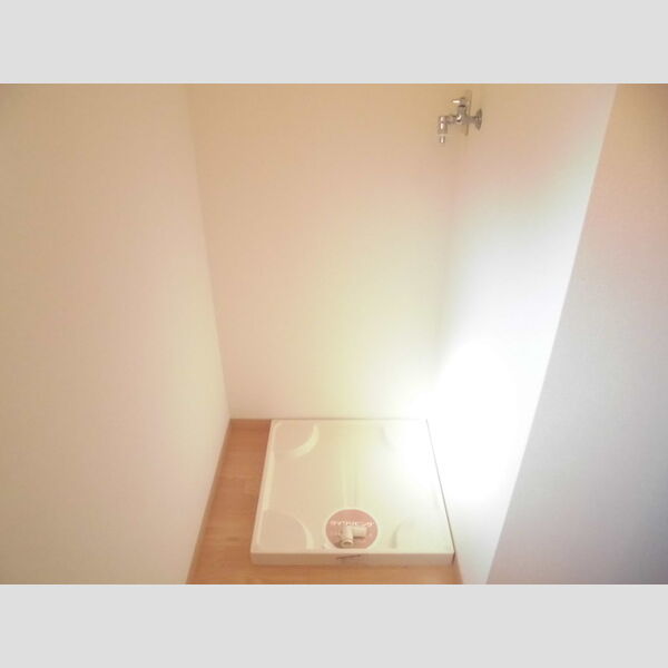 その他 (室内洗濯機置場)