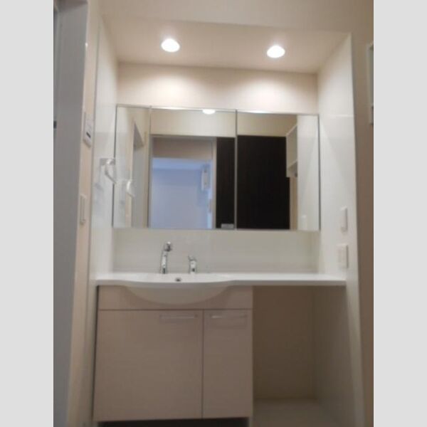 洗面所 (洗髪洗面化粧台)