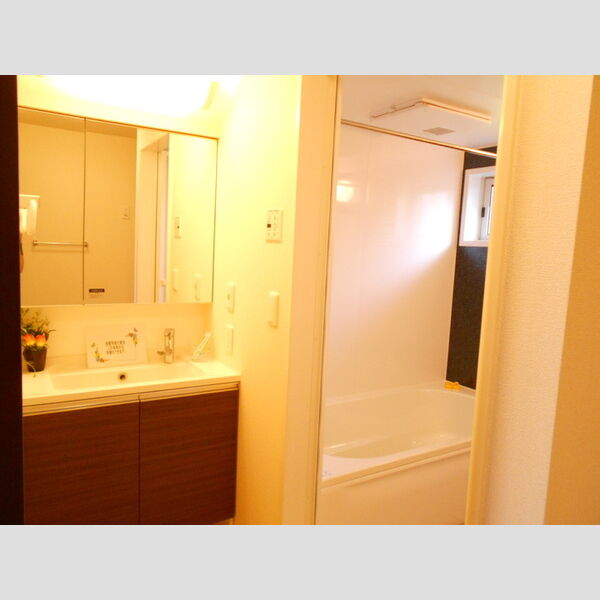 洗面所 (洗面所)