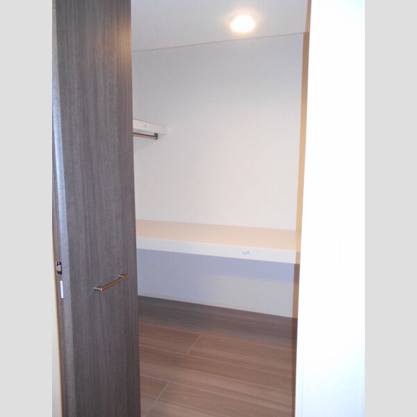 収納 (A202　ウォークインクローゼット)