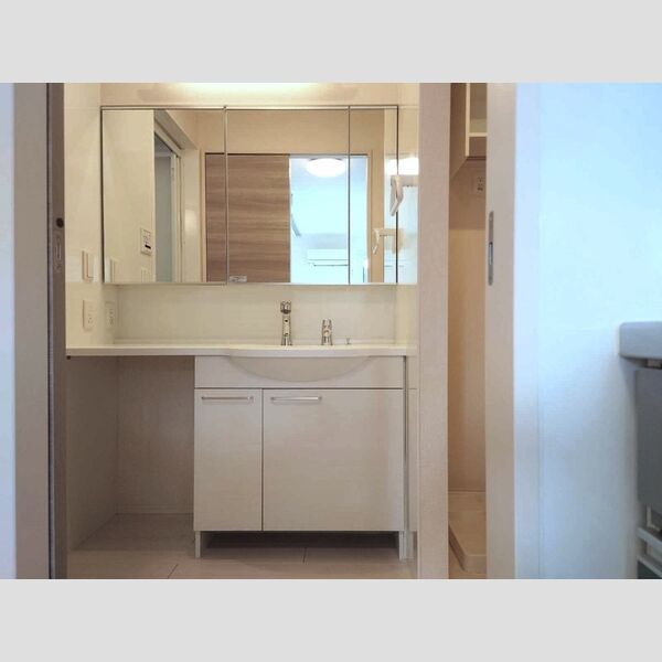 洗面所 (洗髪洗面化粧台)