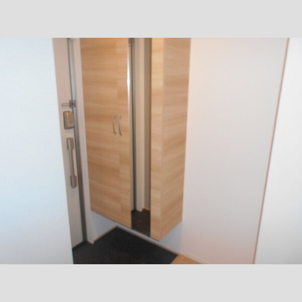 玄関 (シューズボックス)