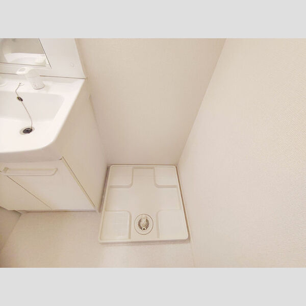 その他 (室内洗濯機置場)