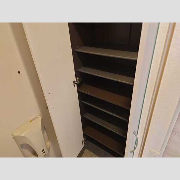 収納 (シューズボックス(トールタイプ))