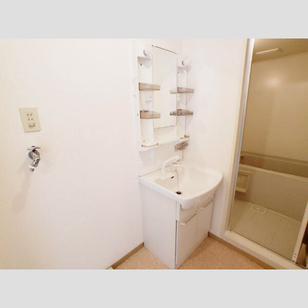 洗面所 (洗髪洗面化粧台)