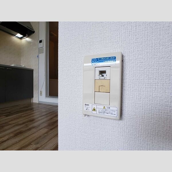 その他 (インターネット接続(有線))