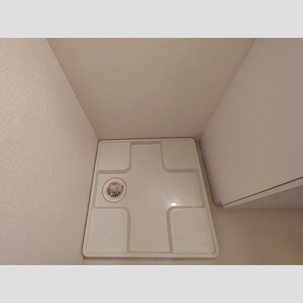 その他 (室内洗濯機置場)