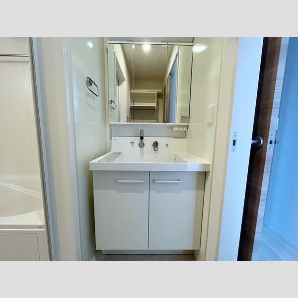 洗面所 (洗髪洗面化粧台)