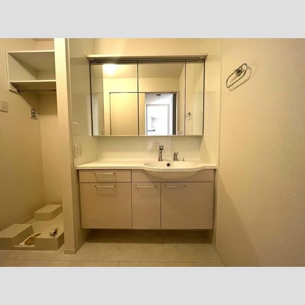 洗面所 (洗髪洗面化粧台)