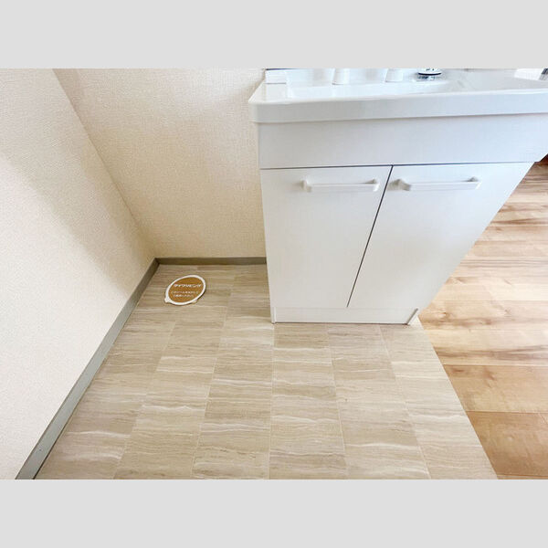 その他 (室内洗濯機置場)