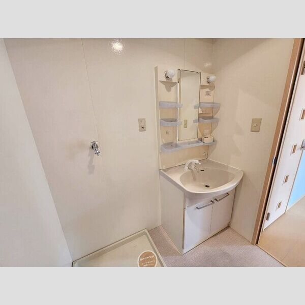 洗面所 (室内洗濯機置場・洗髪洗面化粧台)