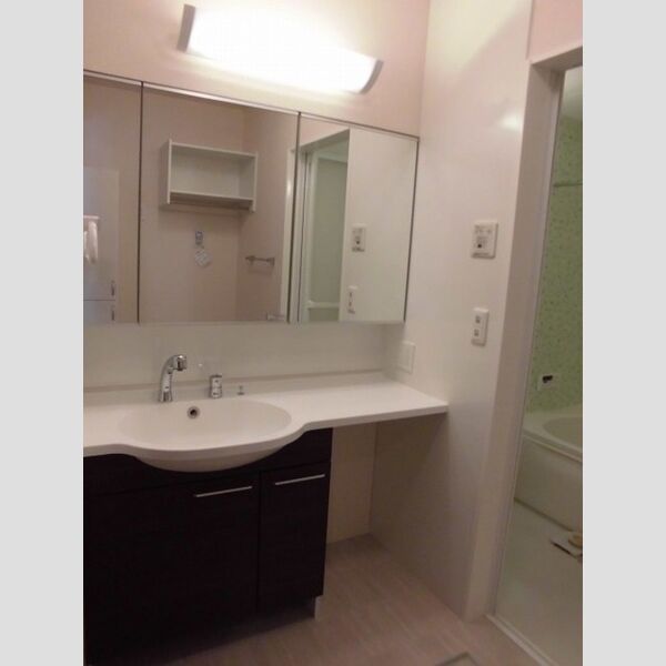 洗面所 (洗面所)