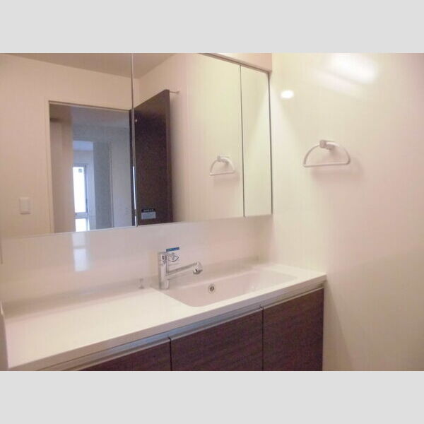 洗面所 (洗髪洗面化粧台)