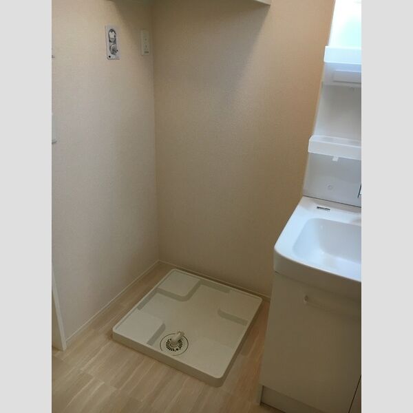 その他 (室内洗濯機置場)
