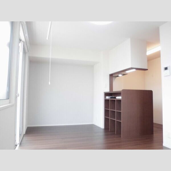 居室・リビング (LDK12.0帖)