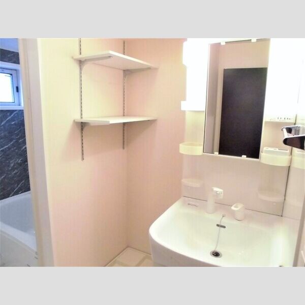 洗面所 (洗髪洗面化粧台・室内洗濯機置場)