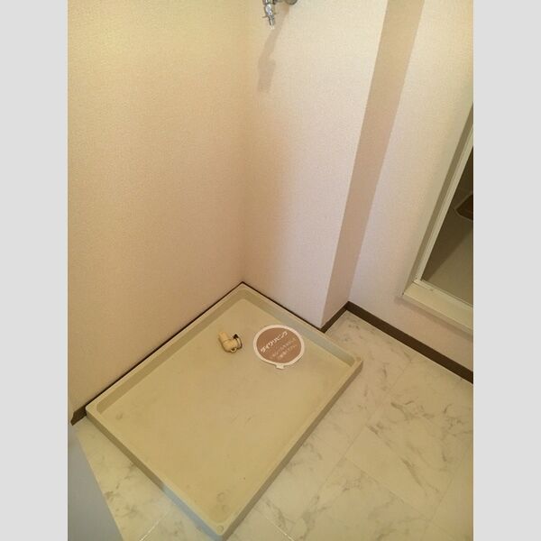 その他 (室内洗濯機置場)