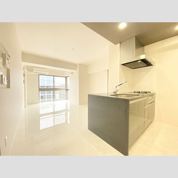 居室・リビング (LDK/12.8帖)