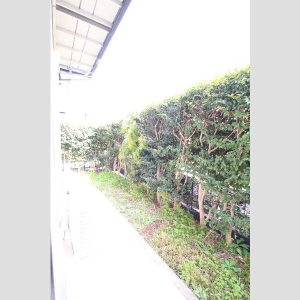 その他 (専用庭)