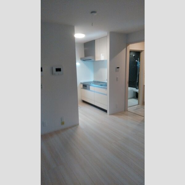 居室・リビング (A102 LDK)
