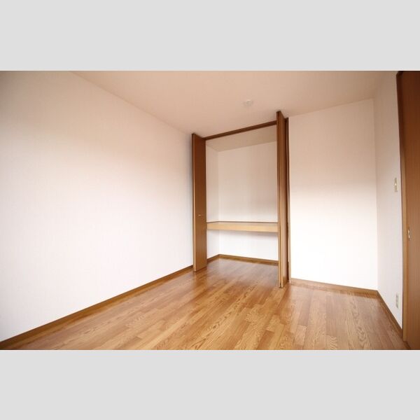 収納 (A201　南側洋室収納)