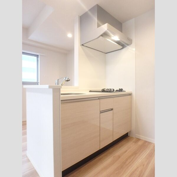 キッチン (1001　対面キッチン)