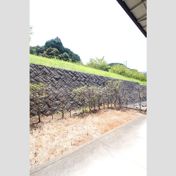 その他 (専用庭)