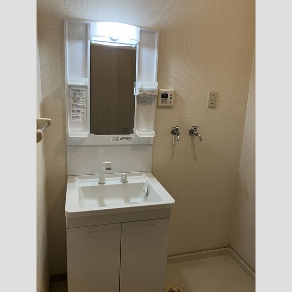 洗面所 (独立洗面台)