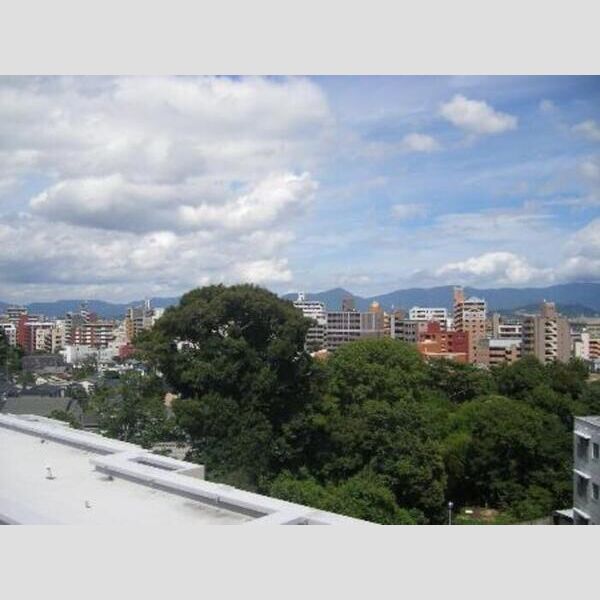 居室・リビング (LDKからの景色です(103号室より))