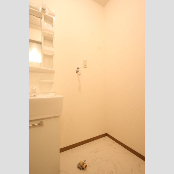その他 (室内洗濯機置場)