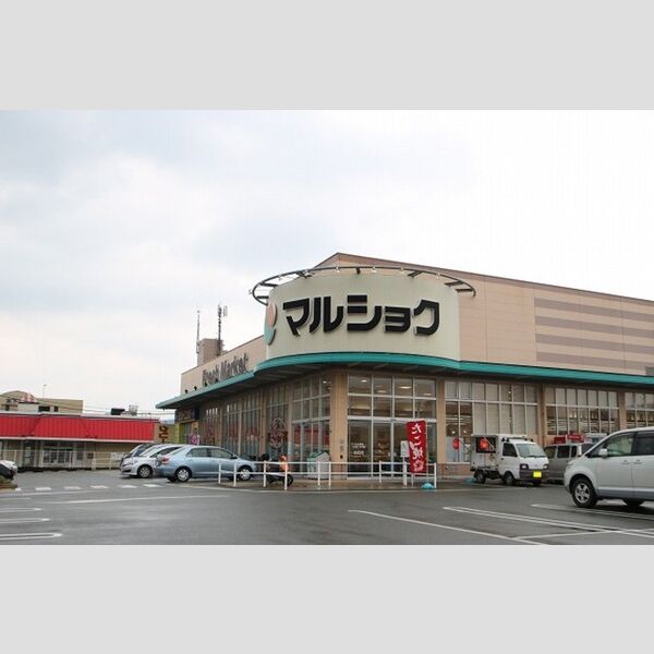 現地周辺 (マルショク今宿店　988m)