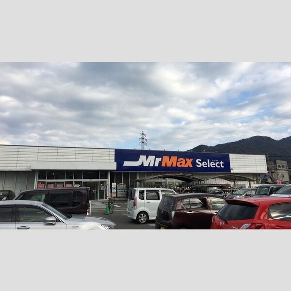 現地周辺 (ミスターマックスセレクト　野芥店　190m)