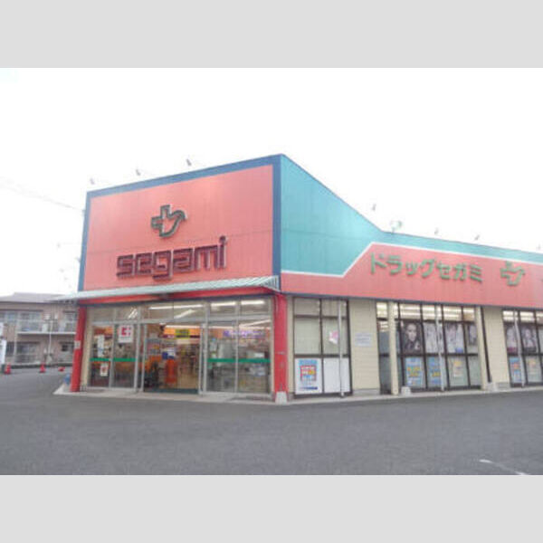 現地周辺 (ドラッグセガミ(240m))