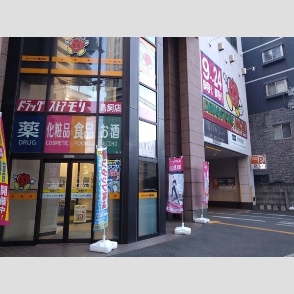 現地周辺 (ドラックストアモリ　鳥飼店　160m)