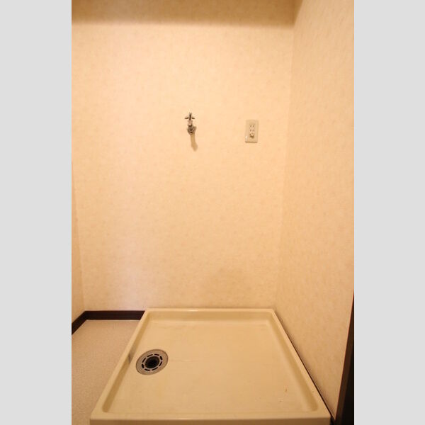その他 (室内洗濯機置場)
