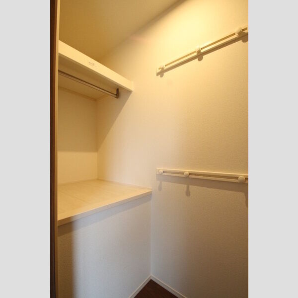 収納 (101　洋室8.9帖　ウォークインクローゼット)