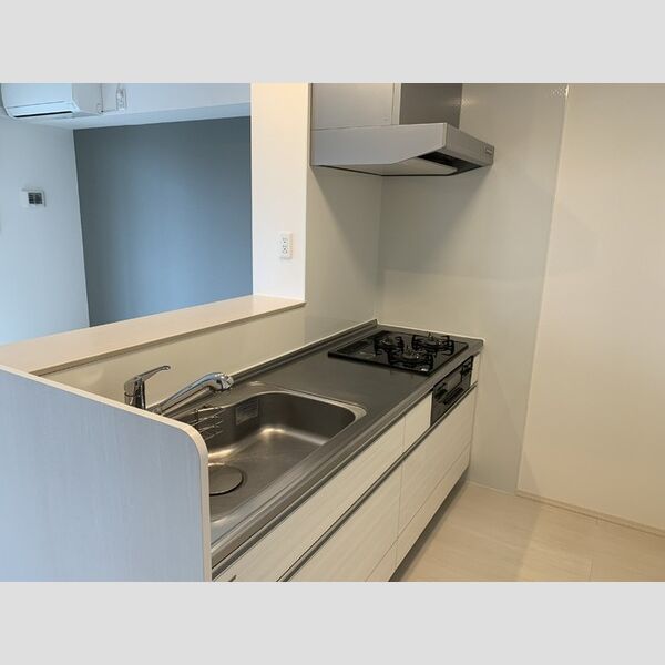 キッチン (キッチン　101)