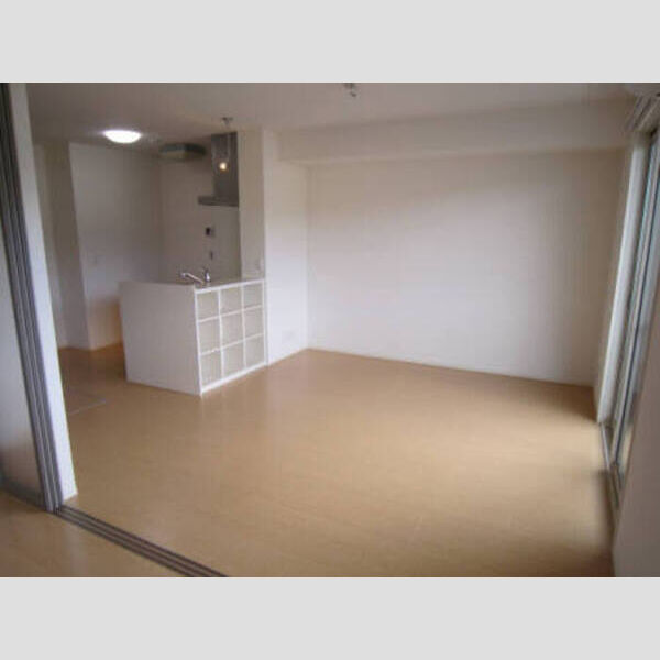 居室・リビング (LDK(2LDKタイプ))