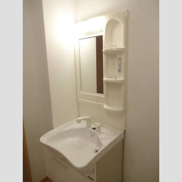 洗面所 (洗髪洗面化粧台)